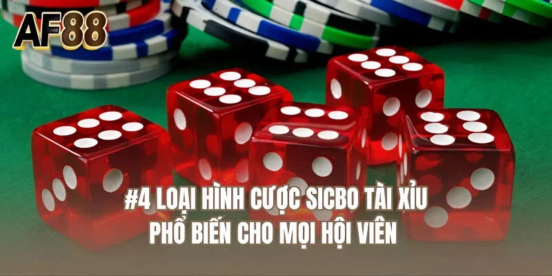 4 loại hình cược sicbo tài xỉu phổ biến cho mọi hội viên