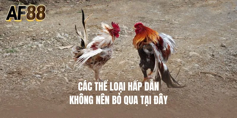 Các thể loại hấp dẫn không nên bỏ qua tại đây