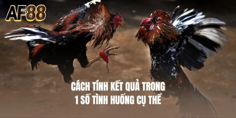 Cách tính kết quả trong 1 số tình huống cụ thể