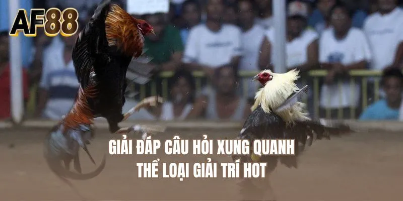 Giải đáp câu hỏi xung quanh thể loại giải trí hot