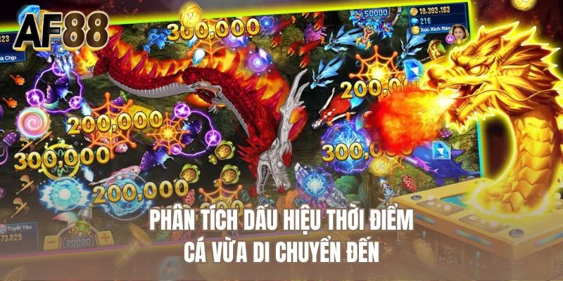 Phân tích dấu hiệu thời điểm cá vừa di chuyển đến