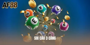 Soi Cầu 3 Càng
