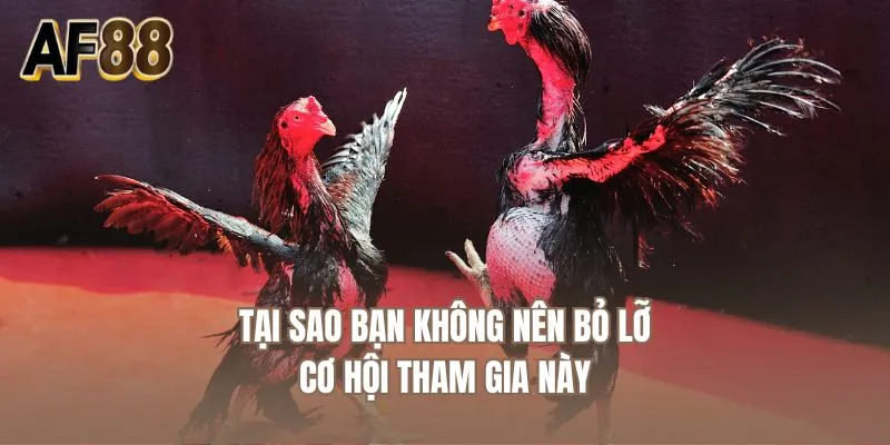 Tại sao bạn không nên bỏ lỡ cơ hội tham gia này