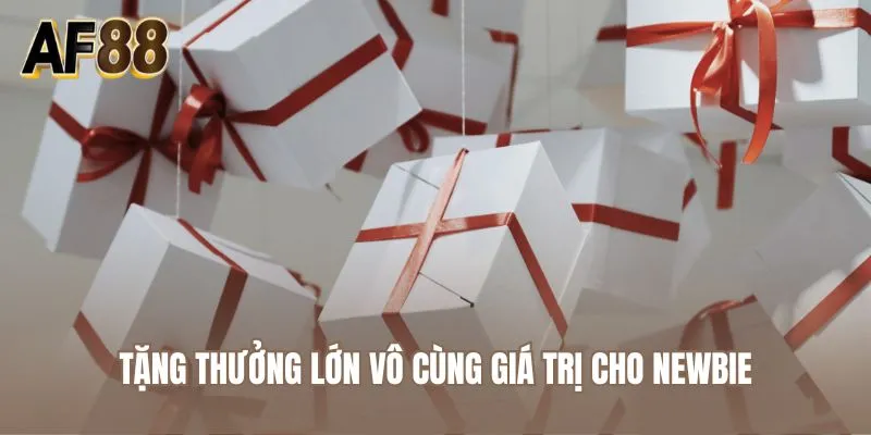 Tặng thưởng lớn vô cùng giá trị cho newbie