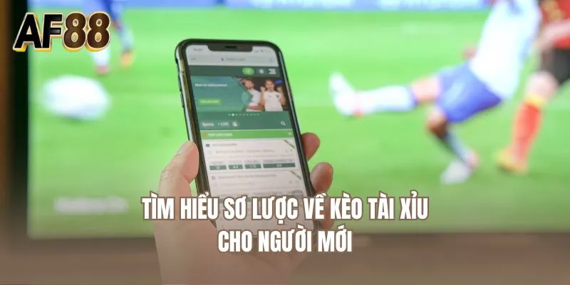 Tìm hiểu sơ lược về kèo tài xỉu cho người mới